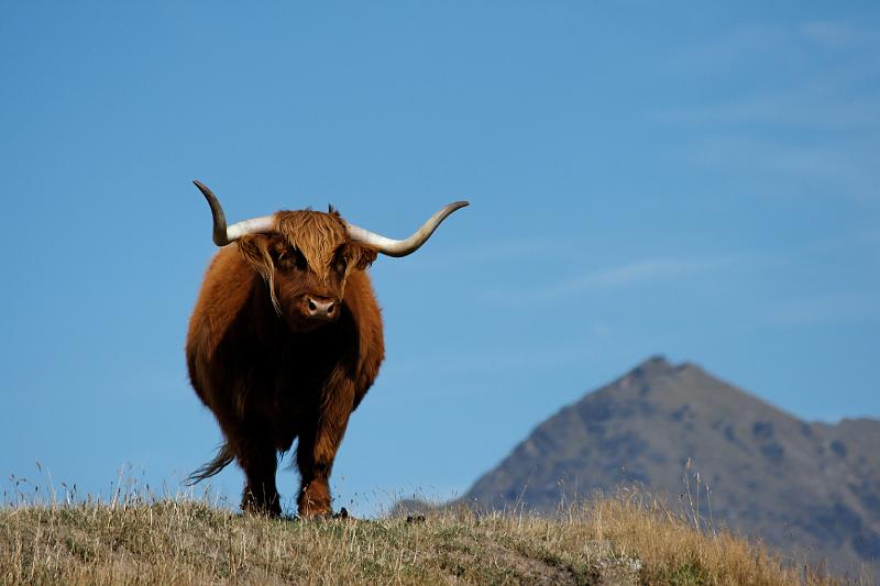 2007 03 25 Queenstown 079_DXO.jpg